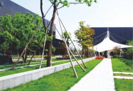 抚州市临川区新屠宰场室外绿化工程